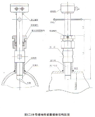 插入式電磁流量計不帶球閥結(jié)構圖
